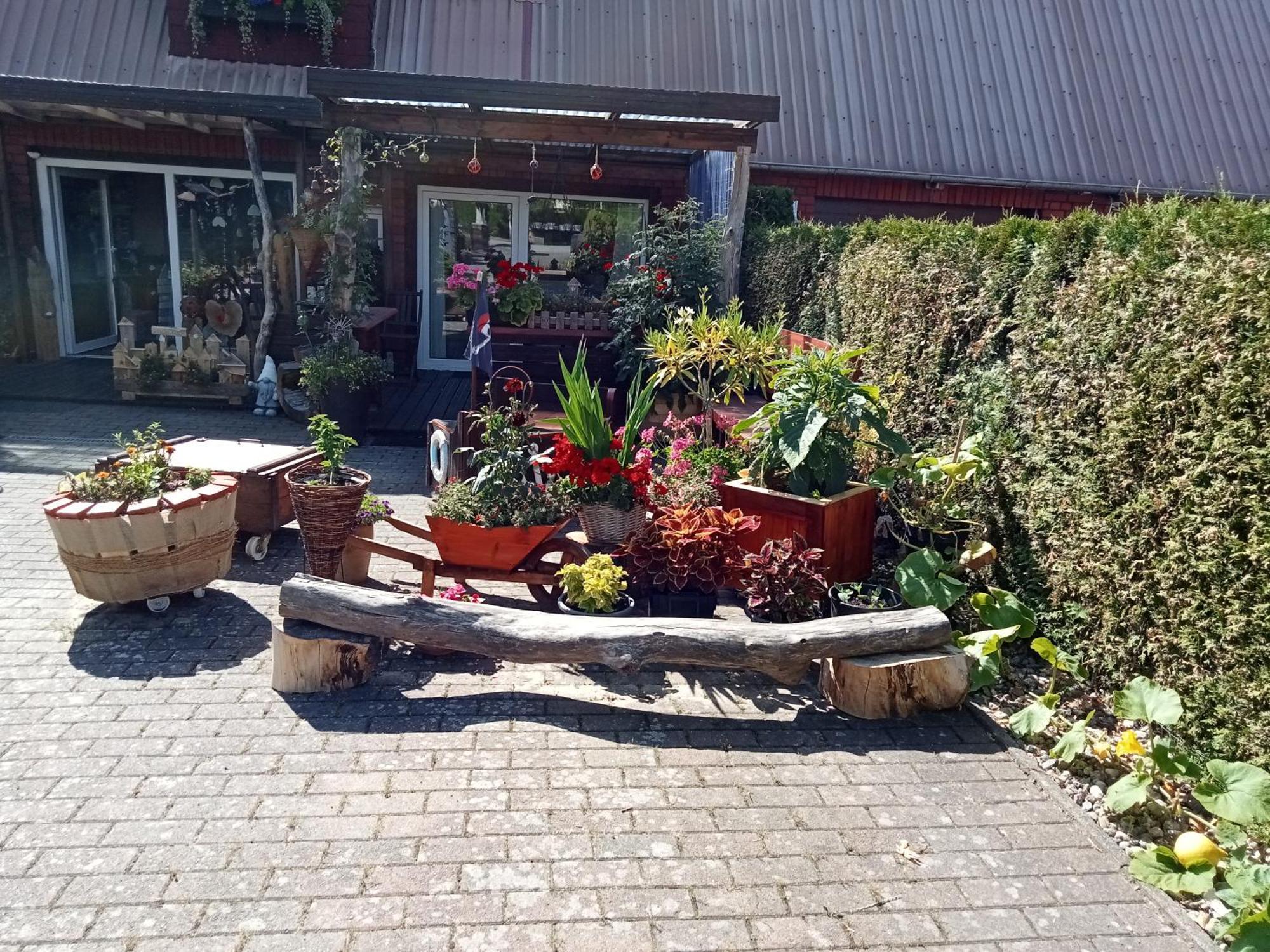 Auszeit-Schoenenwalde Papenhagen Kültér fotó