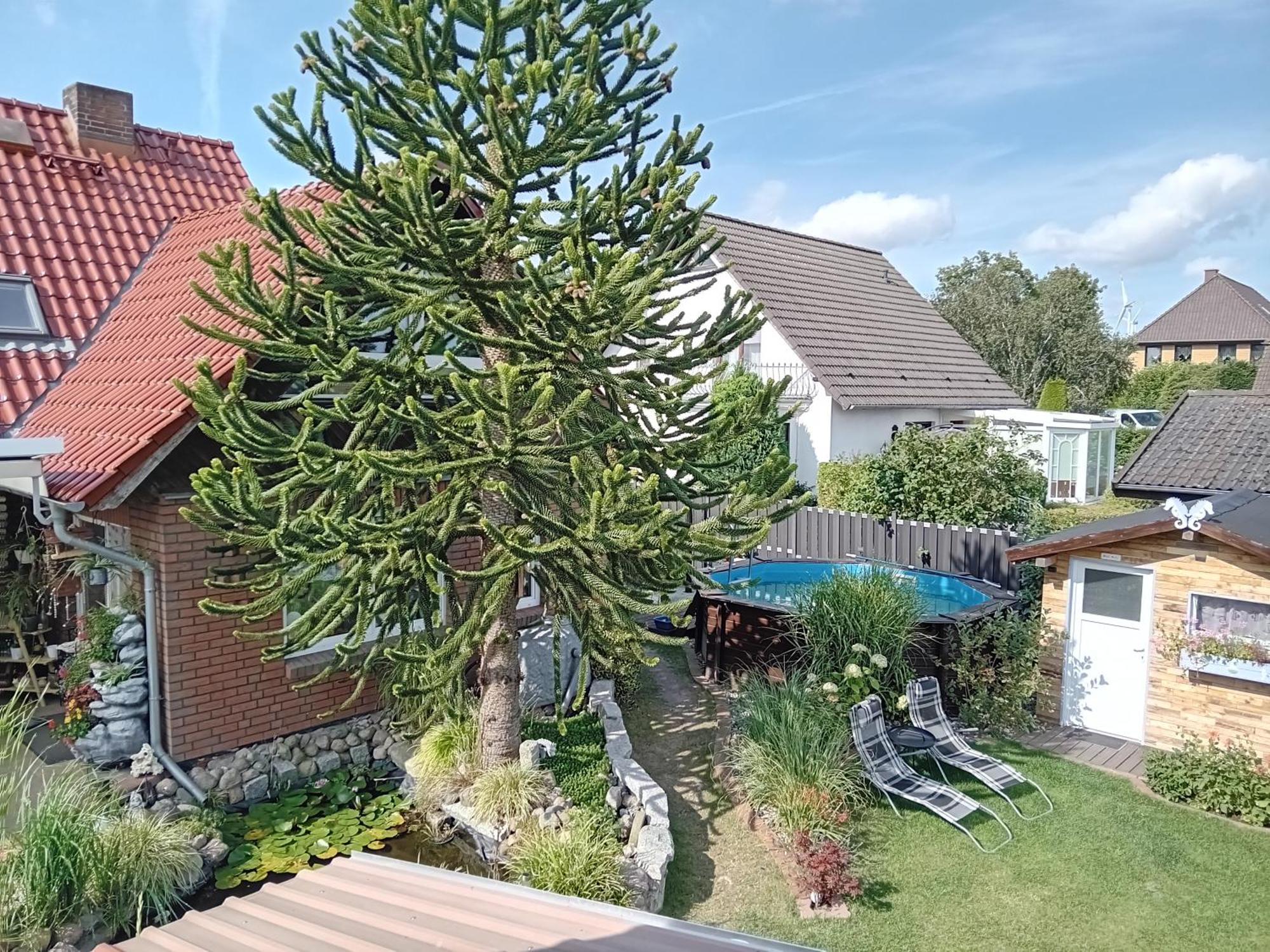 Auszeit-Schoenenwalde Papenhagen Kültér fotó